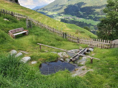 Bild 10 aus  Marteshof