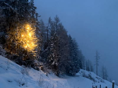 Bild 47 aus  Untere Roner Kasa - Suntinger 