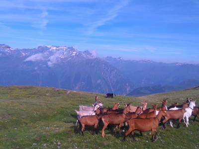 Bild 92 aus Riatschhof