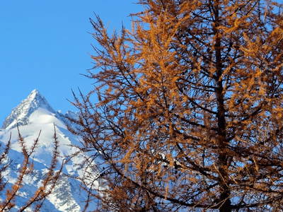 Bild 6 aus  Almerlebnisse Messner