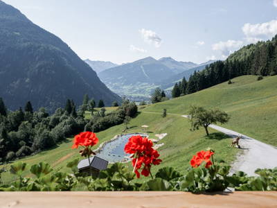 Bild 15 aus  Das Grabnergut