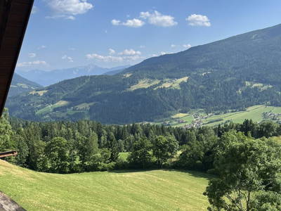 Bild 43 aus  Pirkerhof