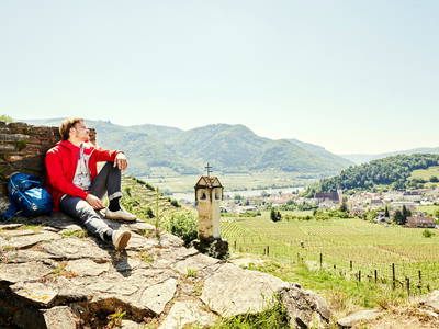 Bild 61 aus  BioWeingut Hauerhof 99