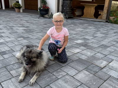 Bild 92 aus  Stegerhof