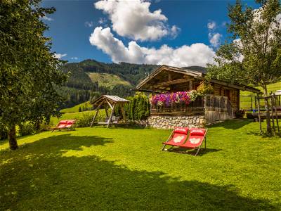 Bild 44 aus Prechtlhof in Flachau