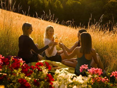 Bild 142 aus  Kleinhofers Himbeernest