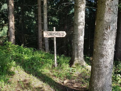 Bild 34 aus  Lögergut