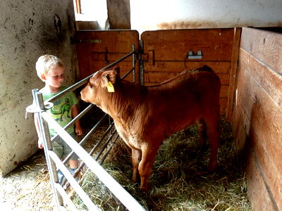 Bild 40 aus Biohof Schafflhof