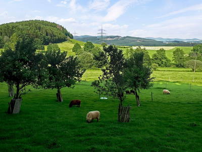 Bild 20 aus  Hof Keppel, der stromlose Urlaub