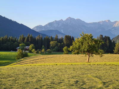 Bild 35 aus  Chalet Ursteinhütte, Almhütte Kelchsau