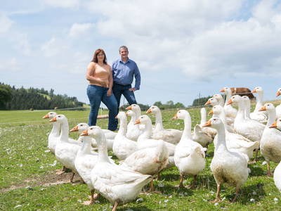 Bild 2 aus  Biohof Obereibensteiner