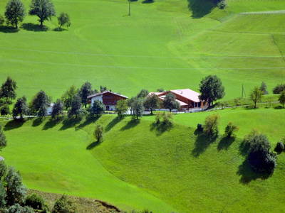 Bild 63 aus  Taxengut