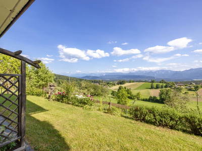 Bild 28 aus  Pleschinhof