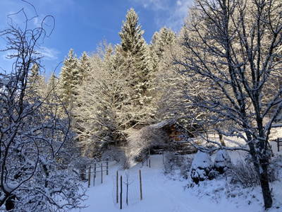 Bild 113 aus  Kräutlhütte Auer