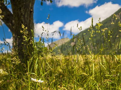 Bild 28 aus  Ferienwohnungen Lenzbauer