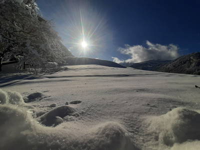 Bild 51 aus  Kaserer