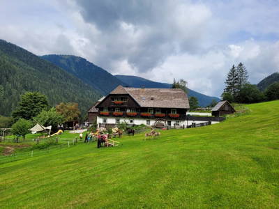 Bild 20 aus  Der Perweinhof