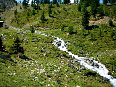 Bild 18 aus  Landhaus Zangerl - Kobelerhof