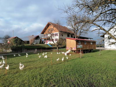 Bild 3 aus  Ferienhof Kornmayer - Nat(UR)laub zwischen Allgäu und Bodensee