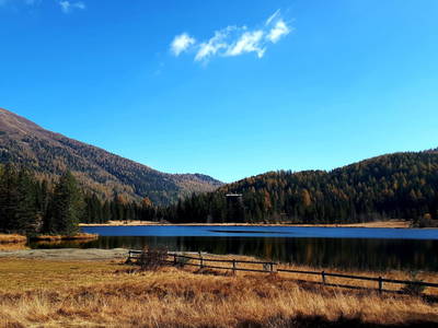 Bild 114 aus  Schwarzenbichlalm