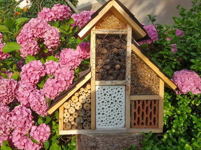 Bild 32 aus  Gregerbauer