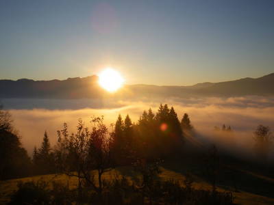 Bild 45 aus  Bio Bauernhof Kurzeck