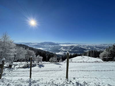 Bild 17 aus Almhaus Bachler
