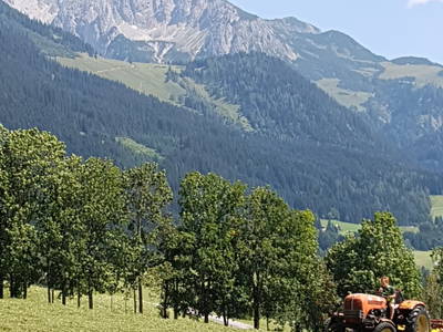 Bild 50 aus Windhofgut