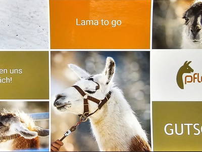 Bild 92 aus  Pfleger Ranch am Schönegg Gut