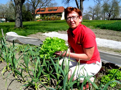 Bild 24 aus Bauernhof Webinger