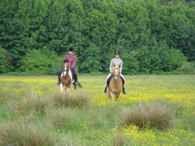 Bild 7 aus  Kempfenhof