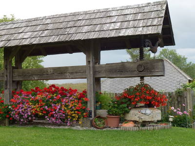 Bild 58 aus  Steirer