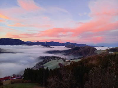 Bild 67 aus  Ferienhof Schneiderweg