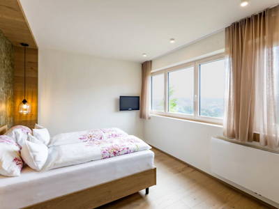 Bild 25 aus  Weingut & Wohlfühlzimmer Adam-Lieleg