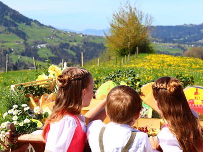 Bild 121 aus  Familie Nußbaumer 