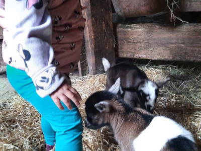 Bild 37 aus  Hüttstädterhof