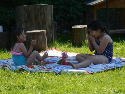 Bild 60 aus  Bauernhof Bertsch