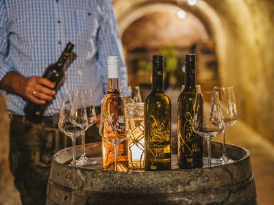 Bild 284 aus  Winzerhof Küssler, Weinviertel