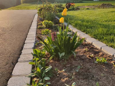 Bild 103 aus  Obergrafenberger