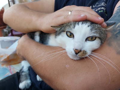 Bild 26 aus  Schönbergbauer