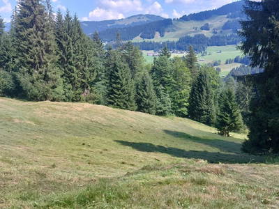 Bild 228 aus Haus Albrecht