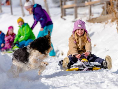 Bild 15 aus Testhof UaB Steiermark