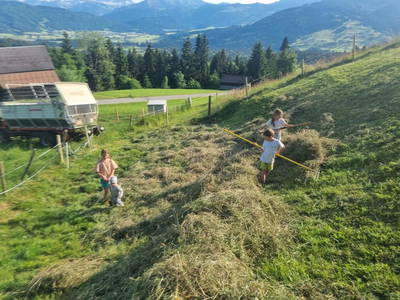 Bild 82 aus  Familie Nußbaumer 
