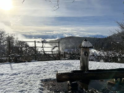 Bild 22 aus  Auszeit am Berg