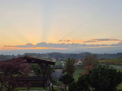 Bild 61 aus  SCHIPFERHOF  Familie Strohmeier