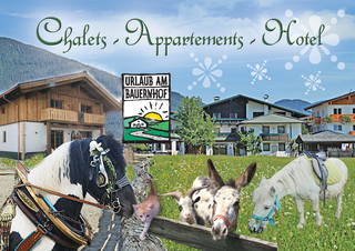 Sieglhub Chalets * Appartements * Hotel aus Flachau