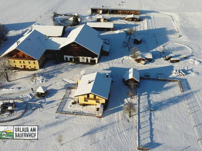 Bild 242 aus Kinderparadies Bachbauer