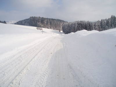 Bild 41 aus  Höllmühle