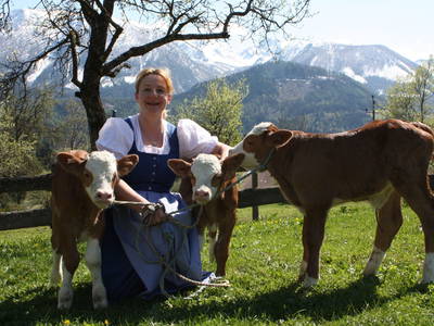 Bild 23 aus  Ferienhof Mittermair