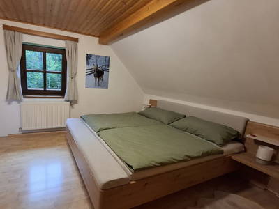 Bild 20 aus  Hanslgrabner